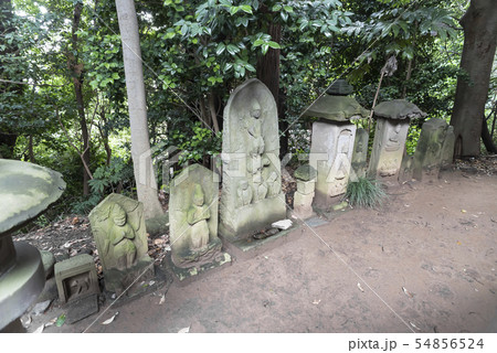 冨塚八幡宮の庚申塔（横浜市戸塚区戸塚町） 54856524