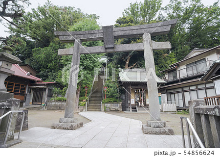 冨塚八幡宮（横浜市戸塚区戸塚町） 54856624