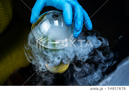 Cocktail with ice vapor on bar desk, close-up. dry ice. Cocktail with ice vapor on bar desk, close-up. dry ice. 54857676