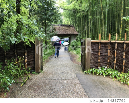 東山旧岸邸 54857762