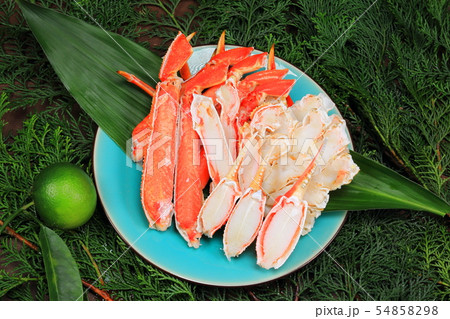 ボイルズワイガニ 54858298