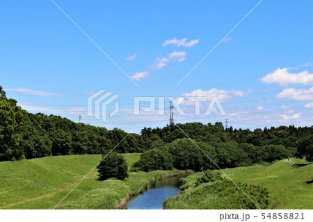 緑深い利根運河 緑深い利根運河 54858821
