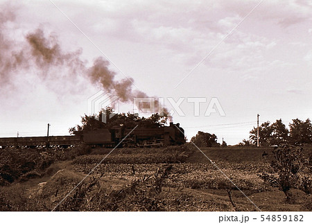 昭和43年 八高線の蒸気機関車 D51 埼玉県 昭和43年 八高線の蒸気機関車 D51 埼玉県 54859182