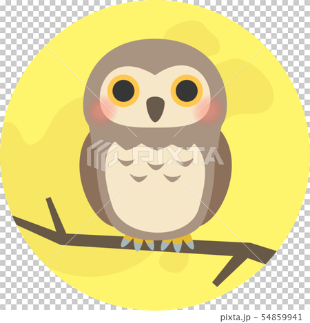 Moon and owl Moon and owl 54859941