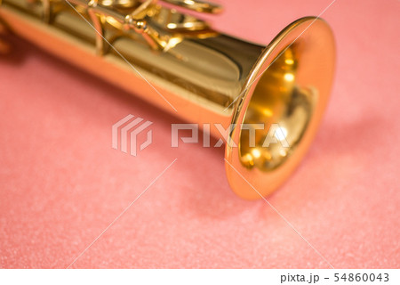 アルトサックス、ソプラノサックス　（サックスの音色はアクティブ且つ哀愁を帯びている） 54860043