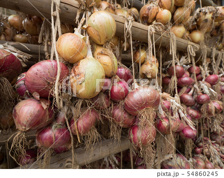 軒下に干したタマネギ 軒下に干したタマネギ 54860245