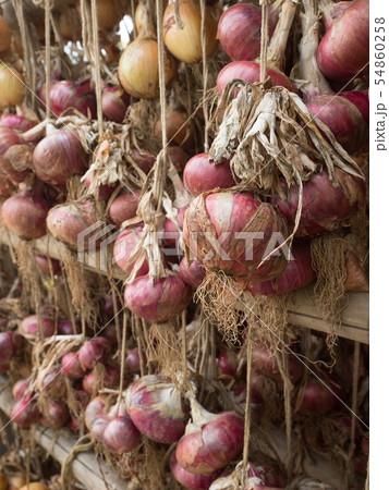 軒下に干したタマネギ 54860258