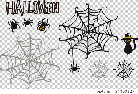 蜘蛛の巣 手描き イラスト ハロウィンのイラスト素材 54860327 Pixta