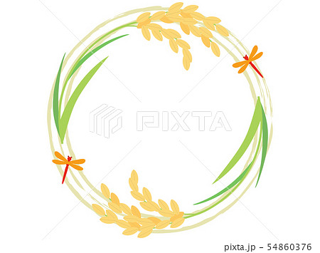 稲10　稲穂　フレーム 54860376