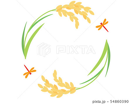 稲11 稲穂のイラスト素材 稲11 稲穂のイラスト素材
