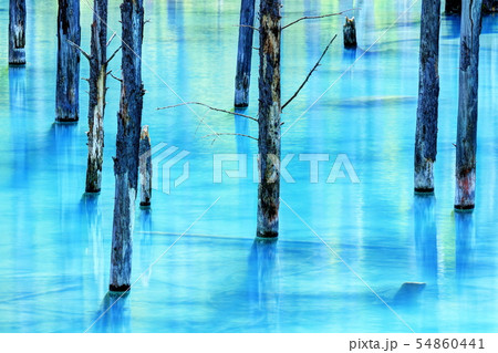 青い池 青い池 54860441
