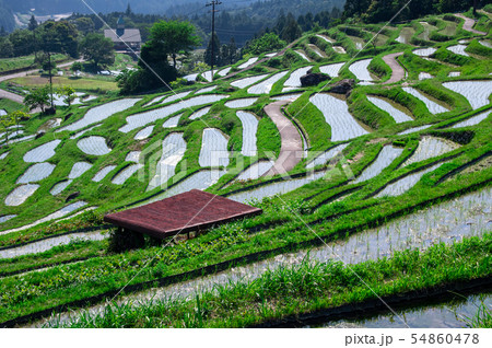 田舎の風景 54860478