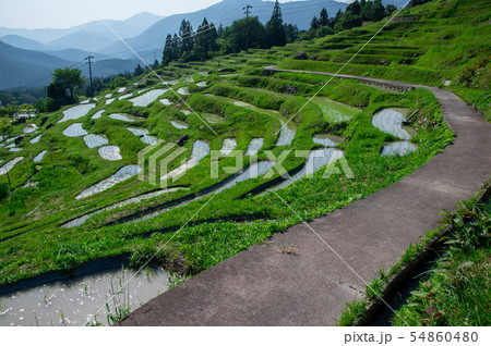 田舎の風景 54860480