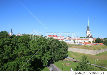 タリン旧市街の街並み 54860571