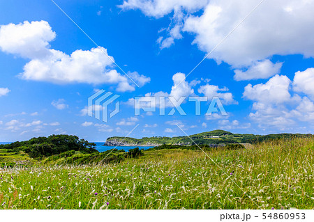 小牧崎公園　【長崎県壱岐市】 54860953