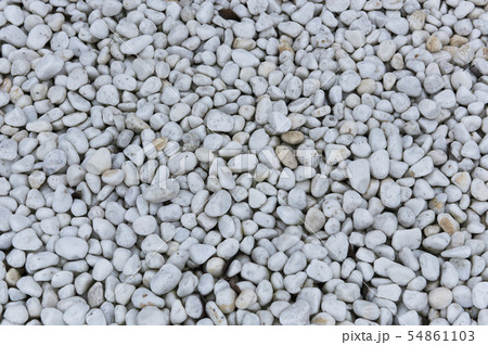 玉砂利 小石 玉砂利 小石 54861103