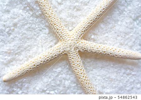 夏のイメージの背景素材 ヒトデ 砂 夏のイメージの背景素材 ヒトデ 砂 54862543