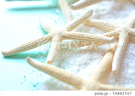 夏のイメージの背景素材 ヒトデ 砂 夏のイメージの背景素材 ヒトデ 砂 54862547