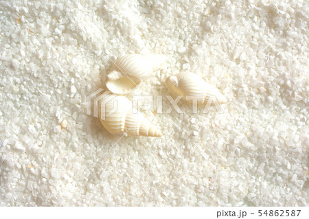 夏のイメージの背景素材　白い貝がら　砂 54862587