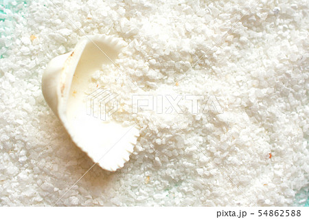 夏のイメージの背景素材 白い貝がら 砂 夏のイメージの背景素材 白い貝がら 砂 54862588