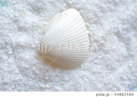 夏のイメージの背景素材　白い貝がら　砂 54862589