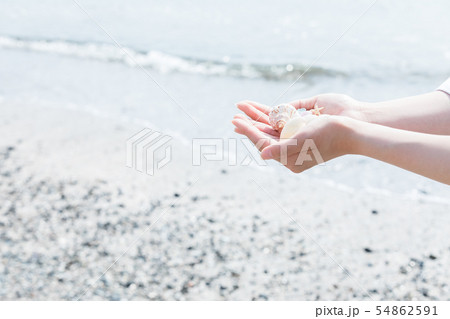 海　手元　貝殻 54862591