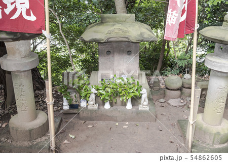 冨塚八幡宮の御嶽大権現(横浜市戸塚区戸塚町) 冨塚八幡宮の御嶽大権現(横浜市戸塚区戸塚町) 54862605