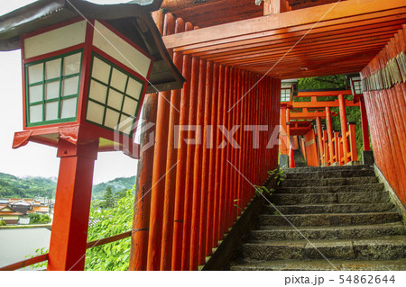 神社の鳥居 54862644