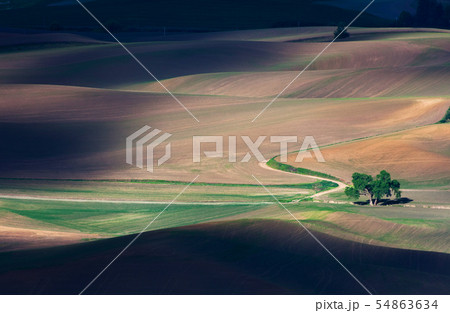 rolling hill and Farm Land rolling hill and Farm Land 54863634