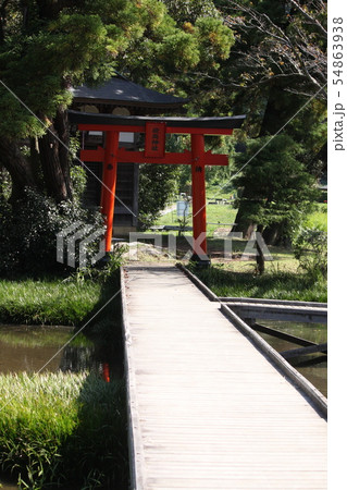 厳島湿生公園の厳島神社鳥居 54863938