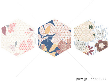 Japanese pattern vector with flower element.  54863955