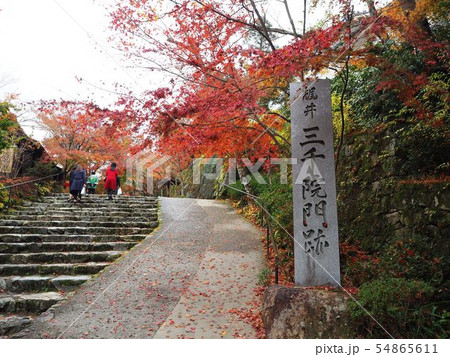 三千院門跡 三千院門跡 54865611