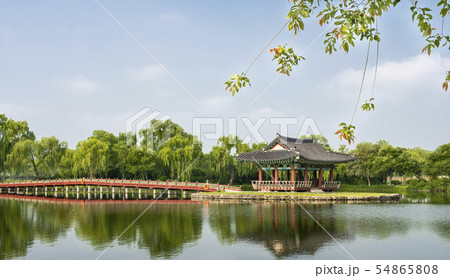 スポット 樹木 景色 54865808