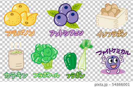 Fight Chemical, Isoflavone, etc. 54866001