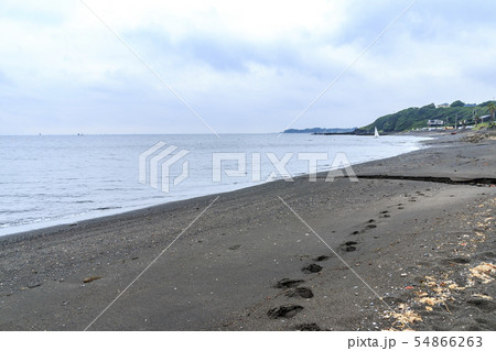 プライベートビーチ 54866263