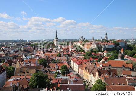 タリン旧市街の街並み 54866409