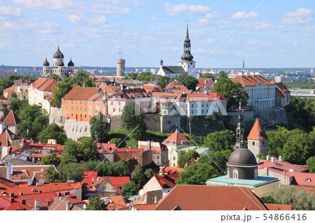 タリン トームペア タリン トームペア 54866416