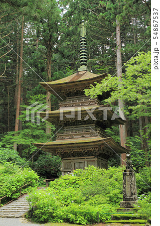 駒ヶ根　光前寺 三重塔 54867537