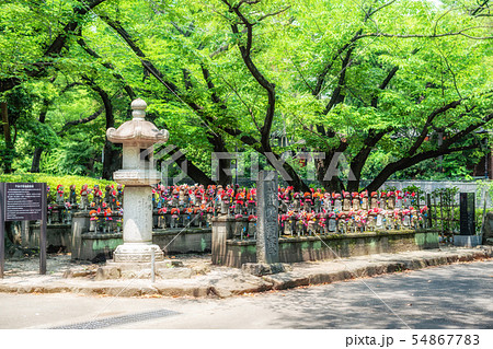 東京　増上寺のお地蔵様 54867783