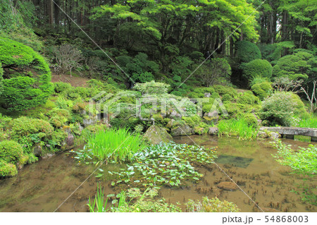 駒ヶ根　光前寺 本坊客殿庭園 54868003