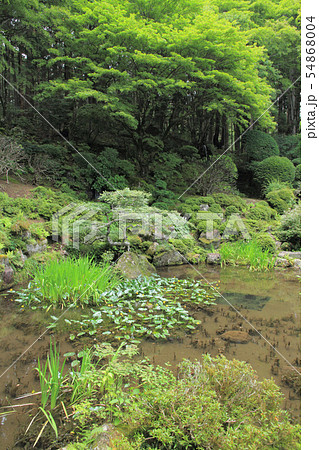 駒ヶ根　光前寺 本坊客殿庭園 54868004