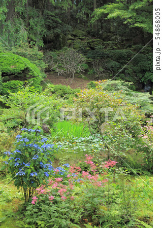 駒ヶ根　光前寺 本坊客殿庭園 54868005