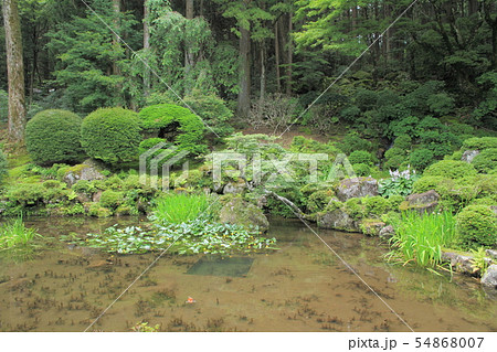 駒ヶ根　光前寺 本坊客殿庭園 54868007