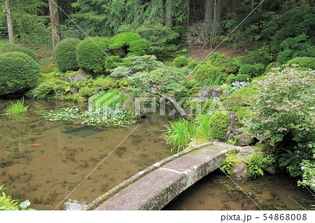 駒ヶ根　光前寺 本坊客殿庭園 54868008