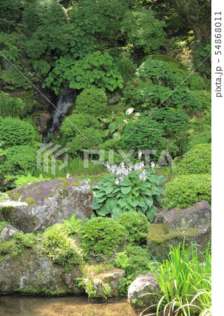 駒ヶ根 光前寺 本坊客殿庭園 駒ヶ根 光前寺 本坊客殿庭園 54868011