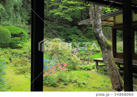 駒ヶ根　光前寺 本坊客殿庭園 54868060