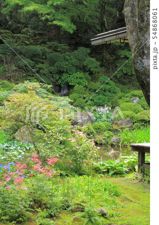 駒ヶ根　光前寺 本坊客殿庭園 54868061