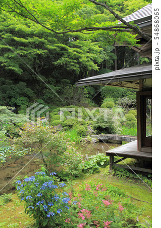 駒ヶ根 光前寺 本坊客殿庭園 駒ヶ根 光前寺 本坊客殿庭園 54868065