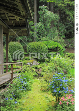 駒ヶ根　光前寺 本坊客殿庭園 54868066