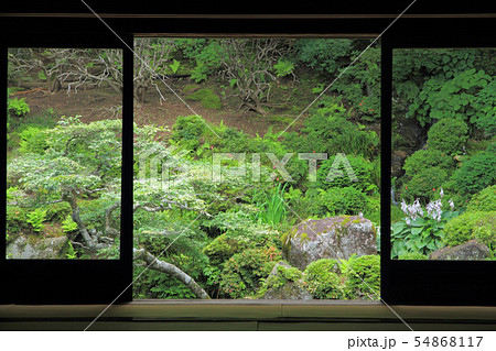 駒ヶ根 光前寺 本坊客殿庭園 駒ヶ根 光前寺 本坊客殿庭園 54868117